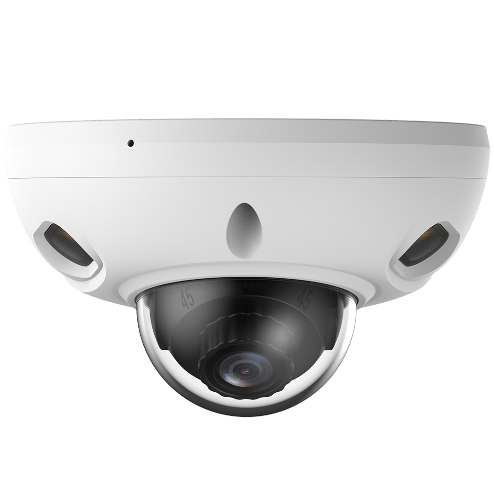 Dome-Kamera, Überwachung, IR-Objektiv, Sicherheitskamera, Wireless (falls vorhanden)